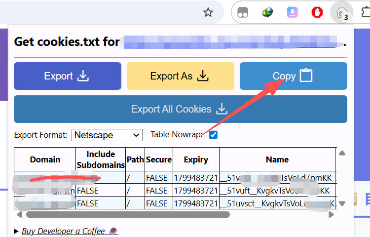 Cookie 配置示例 2